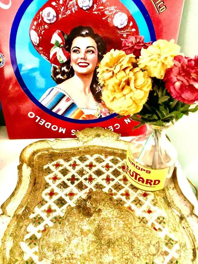 Foodiejive Anvers Appartement